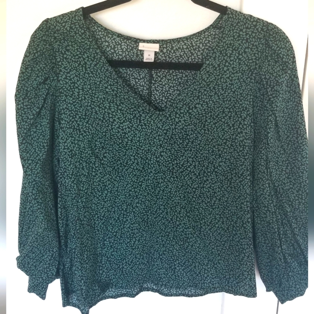 Bishop sleeve blouse